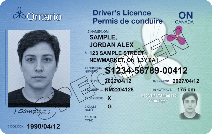 Specimen Ontario driver's licence, front